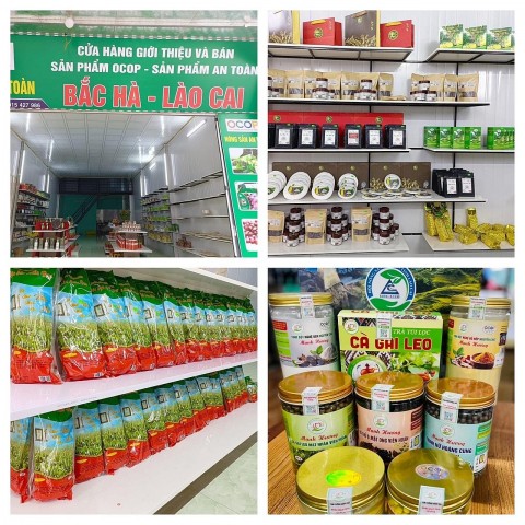 lao cai se co khoang 300 san pham ocop tu 3 sao tro len