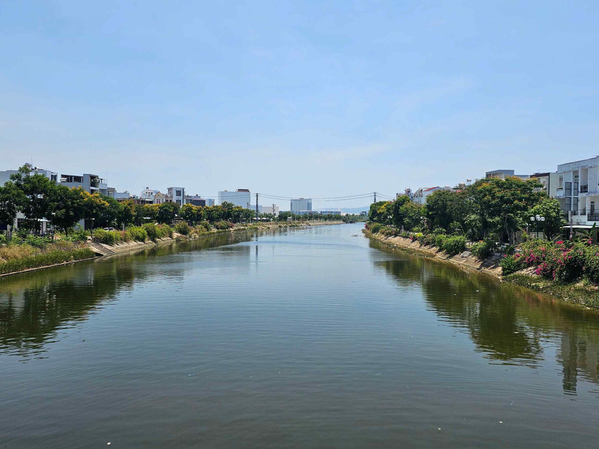 Thành phố biển Quy Nhơn rực rỡ sắc vàng hoa lim xẹt Thành phố biển Quy Nhơn rực rỡ sắc vàng hoa lim xẹt