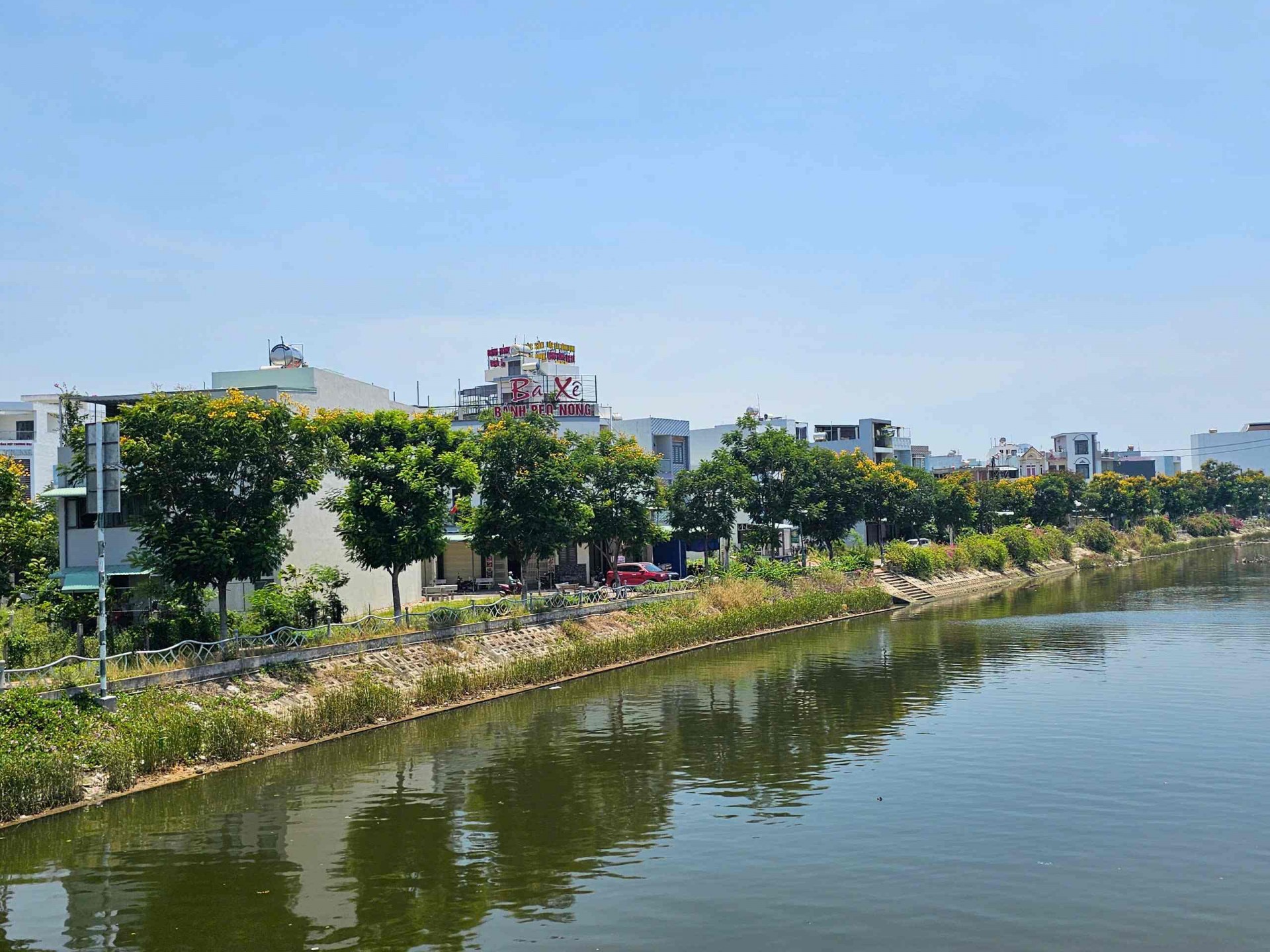 Thành phố biển Quy Nhơn rực rỡ sắc vàng hoa lim xẹt Thành phố biển Quy Nhơn rực rỡ sắc vàng hoa lim xẹt