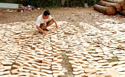 Đế guốc được phơi khô Đế guốc được phơi khô