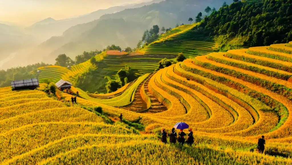 Đề xuất một số giải pháp để phát triển du lịch làng nghề Việt Nam Đề xuất một số giải pháp để phát triển du lịch làng nghề Việt Nam