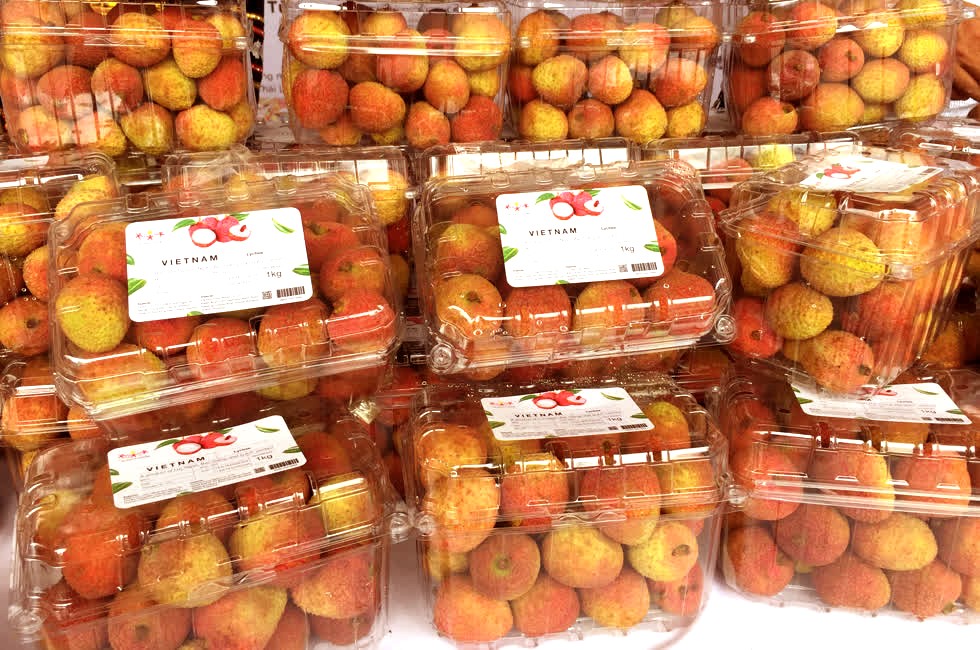 Bắc Giang kỳ vọng vụ vải thiều 2025 bội thu