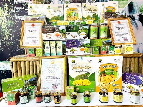 nghe an khoi day tiem nang loi the san pham ocop