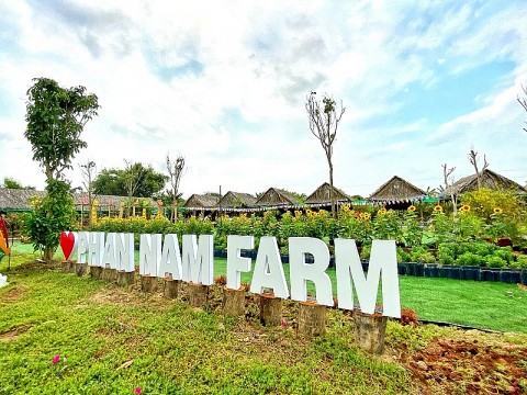 an giang has a farm that meets 3 star ocop standards