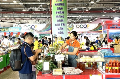 hoi cho ocop khu vuc dong bang song hong quang ninh 2025 thu hut 250 gian hang