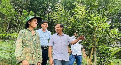 ho tro cac huyen mien nui quang ngai phat trien san pham ocop