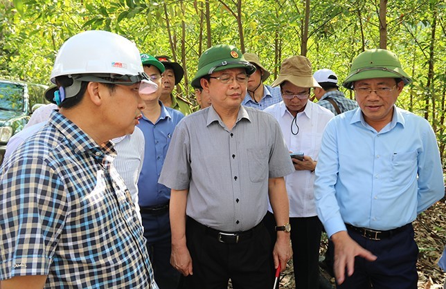 Núi Vũng Chua “viên ngọc xanh” giữa lòng thành phố Quy Nhơn