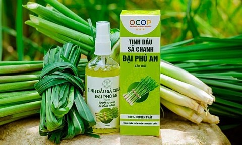 san pham tinh dau cua yen bai duoc de xuat dat ocop 5 sao