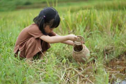 Cua đồng và nỗi nhớ tuổi thơ