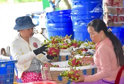 Huyện nông thôn mới nâng cao Chợ Gạo ngày càng khởi sắc