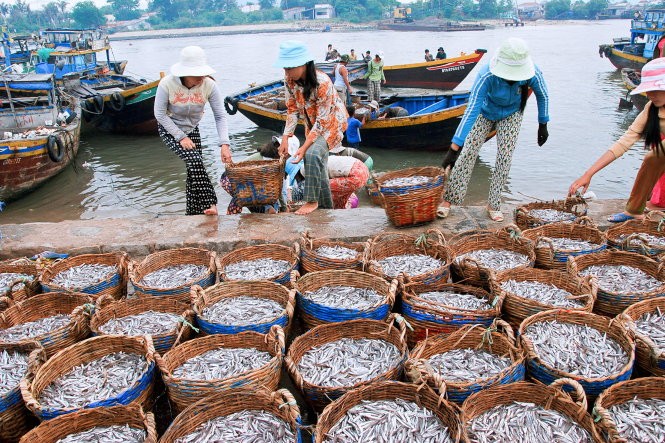 Nước mắm truyền thống kỳ vọng được bảo vệ Nước mắm truyền thống kỳ vọng được bảo vệ