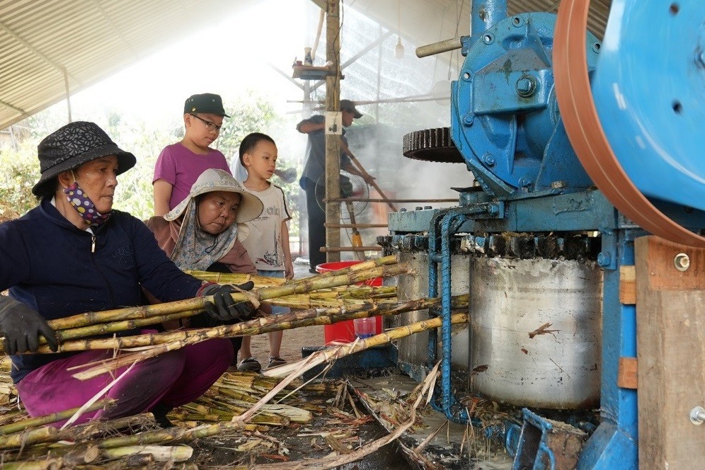 Người lao động làm việc tại lò nấu đường truyền thống "Ông Năm".