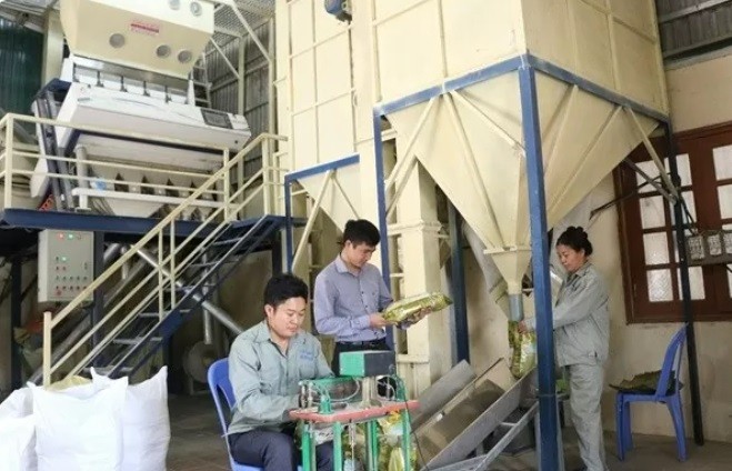 Năm 2025, tỉnh Lào Cai hỗ trợ kinh phí khuyến công 7 cơ sở công nghiệp nông thôn. Ảnh: INT