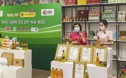 Hà Nội đẩy mạnh phát triển sản phẩm OCOP gắn với làng nghề