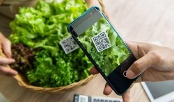 Minh bạch hóa thông tin, nâng giá trị sản phẩm nông thôn mới