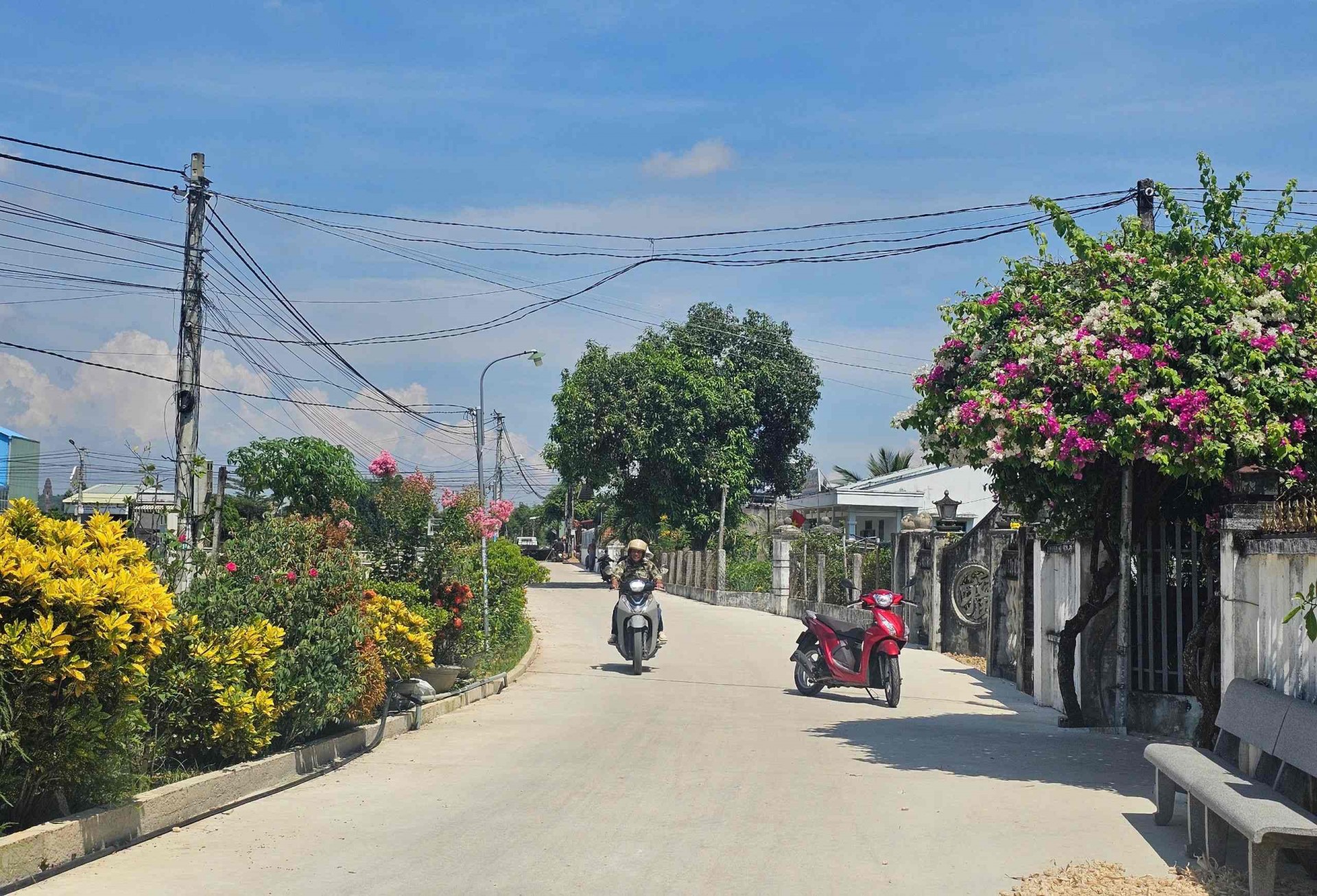 Bình Định: Xã Phước Hiệp khai thác tiềm năng, lợi thế xây dựng nông thôn mới nâng cao Bình Định: Xã Phước Hiệp khai thác tiềm năng, lợi thế xây dựng nông thôn mới nâng cao