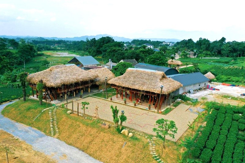 Homestay xinh đẹp giữa đồi chè