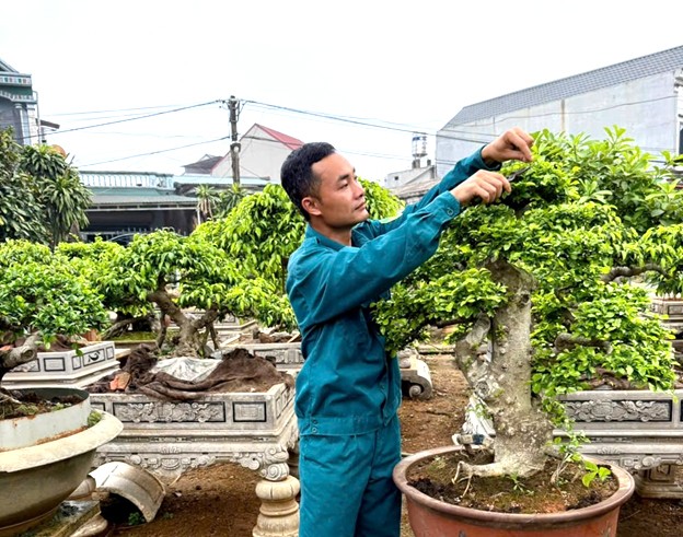 Nghệ nhân Phùng Thanh Tùng ở khu 6 có gần 20 năm kinh nghiệm trồng, chăm sóc các loại cây cảnh bonsai