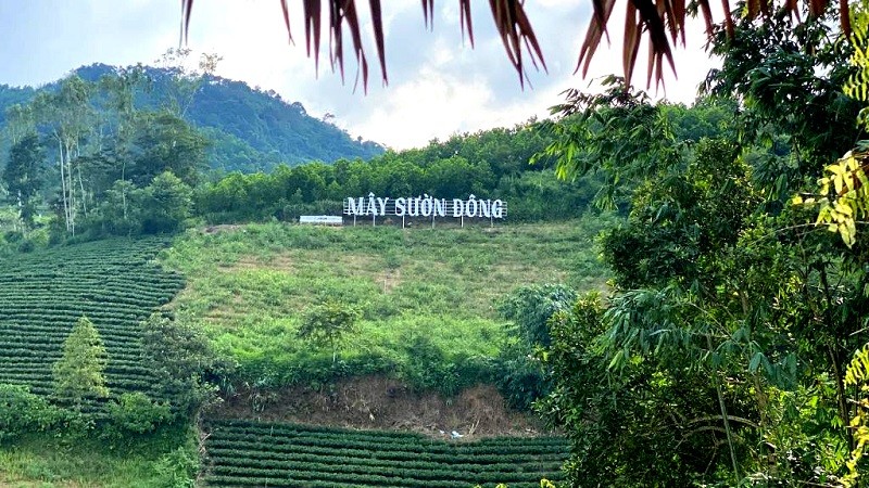 Đồi chè đẹp nhất và Suối Sườn Đông không chỉ là những điểm đến ấn tượng mà còn mang đến cảm nhận sâu sắc về thiên nhiên hùng vĩ và bản sắc văn hóa của vùng Trung du miền núi phía Bắc.