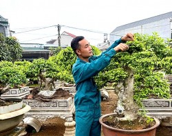 Thanh Hóa: Hoàng Xá phát triển nghề trồng hoa, cây cảnh