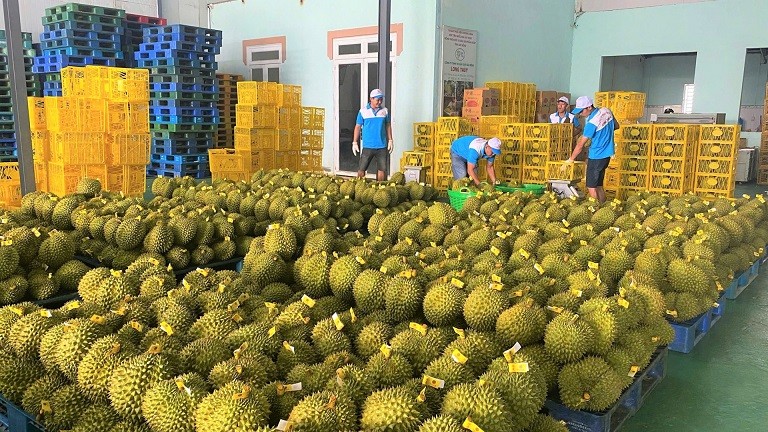 Sản phẩm OCOP ở Bảo Lâm chinh phục thị trường quốc tế Sản phẩm OCOP ở Bảo Lâm chinh phục thị trường quốc tế