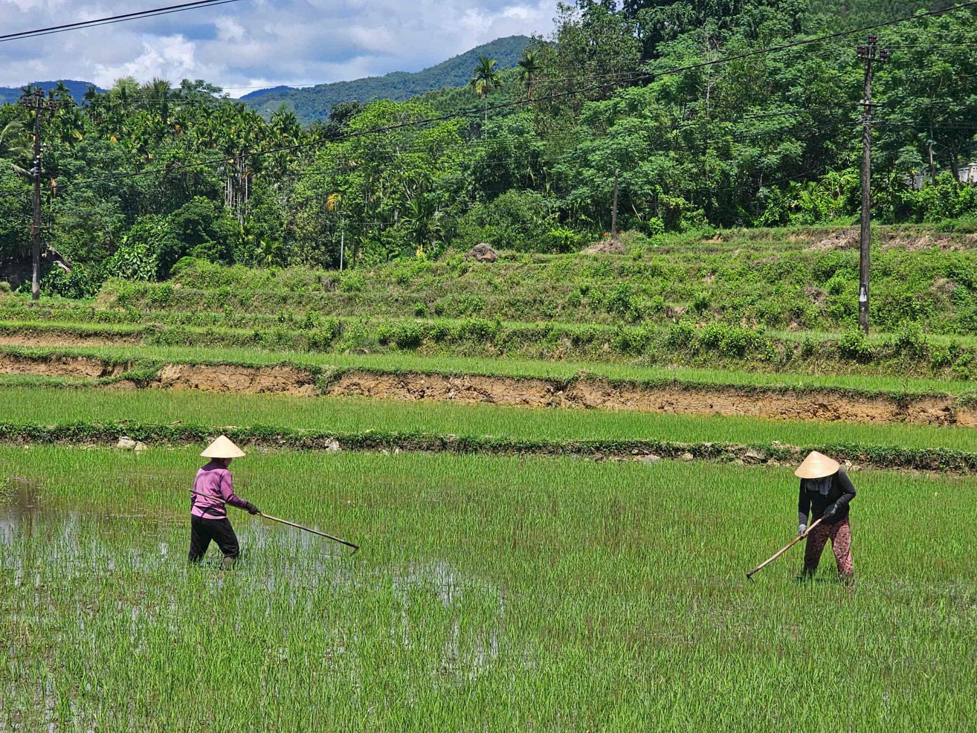Bình Định: An Quang phát triển kinh tế, giảm nghèo về đích nông thôn mới