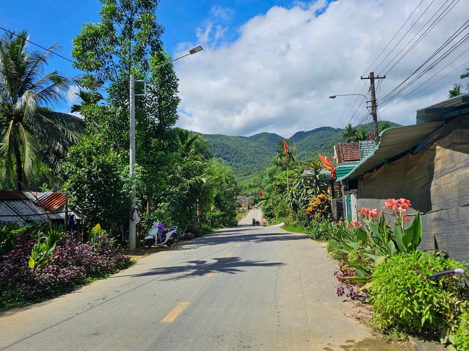 Bình Định: An Quang phát triển kinh tế, giảm nghèo về đích nông thôn mới