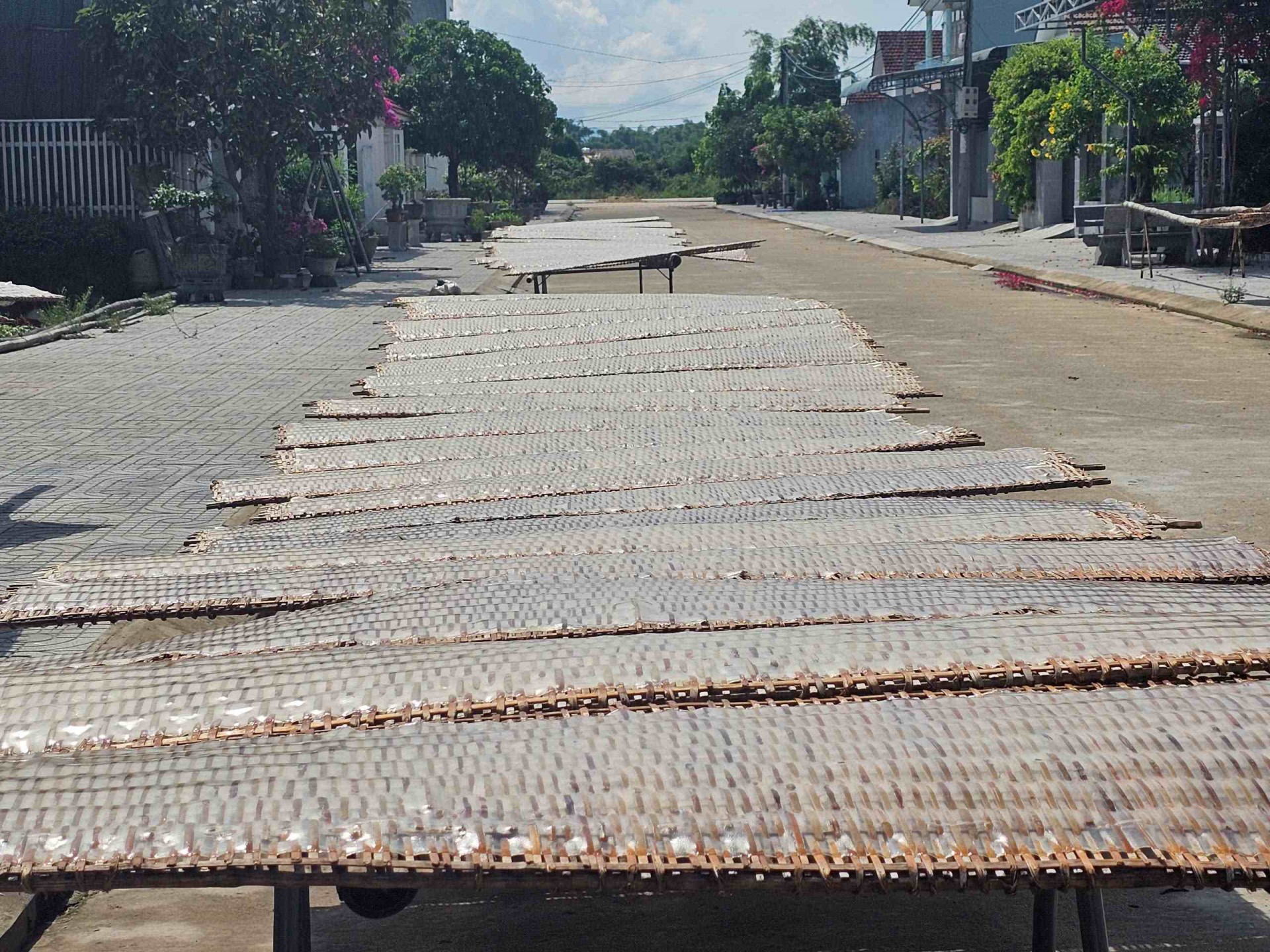 Bình Định: Phát triển Làng nghề bún, bánh An Phong theo hướng bền vững