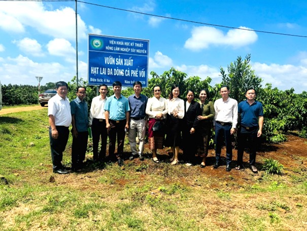 Ông Lê Văn Vương - Giám đốc Công Ty TNHH Sản Xuất Và Thương Mại Vương Thành Công (thứ tư, từ trái sang) cùng các đại diện các doanh nghiệp tham quan mô hình vườn sản xuất hạt lai đa dòng cà phê vối Ông Lê Văn Vương - Giám đốc Công Ty TNHH Sản Xuất Và Thương Mại Vương Thành Công (thứ tư, từ trái sang) cùng các đại diện các doanh nghiệp tham quan mô hình vườn sản xuất hạt lai đa dòng cà phê vối