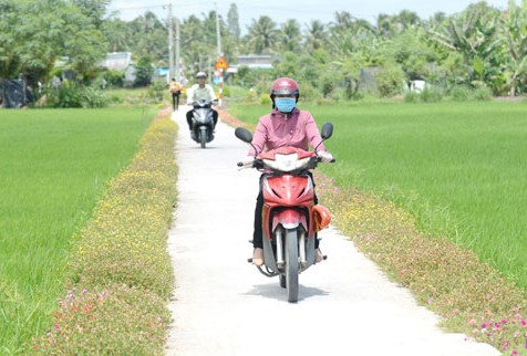 Các tuyến đường nông thôn trên địa bàn tỉnh thay đổi với cảnh quan “xanh - sạch - đẹp” Các tuyến đường nông thôn trên địa bàn tỉnh thay đổi với cảnh quan “xanh - sạch - đẹp”