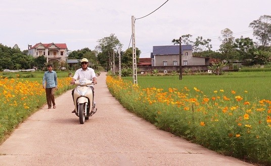 Thái Nguyên: Huyện Phú Bình đạt chuẩn nông thôn mới nâng cao