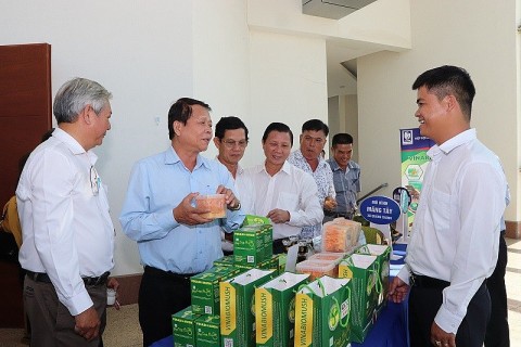 Bà Rịa - Vũng Tàu: Nông dân Châu Đức khởi nghiệp làm giàu