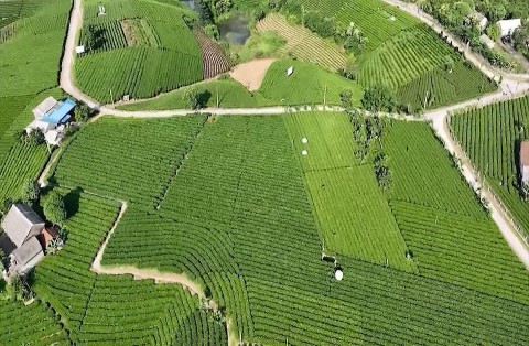 Huyện Đại Từ, Thái Nguyên: Vị thế mới của huyện nông thôn mới nâng cao