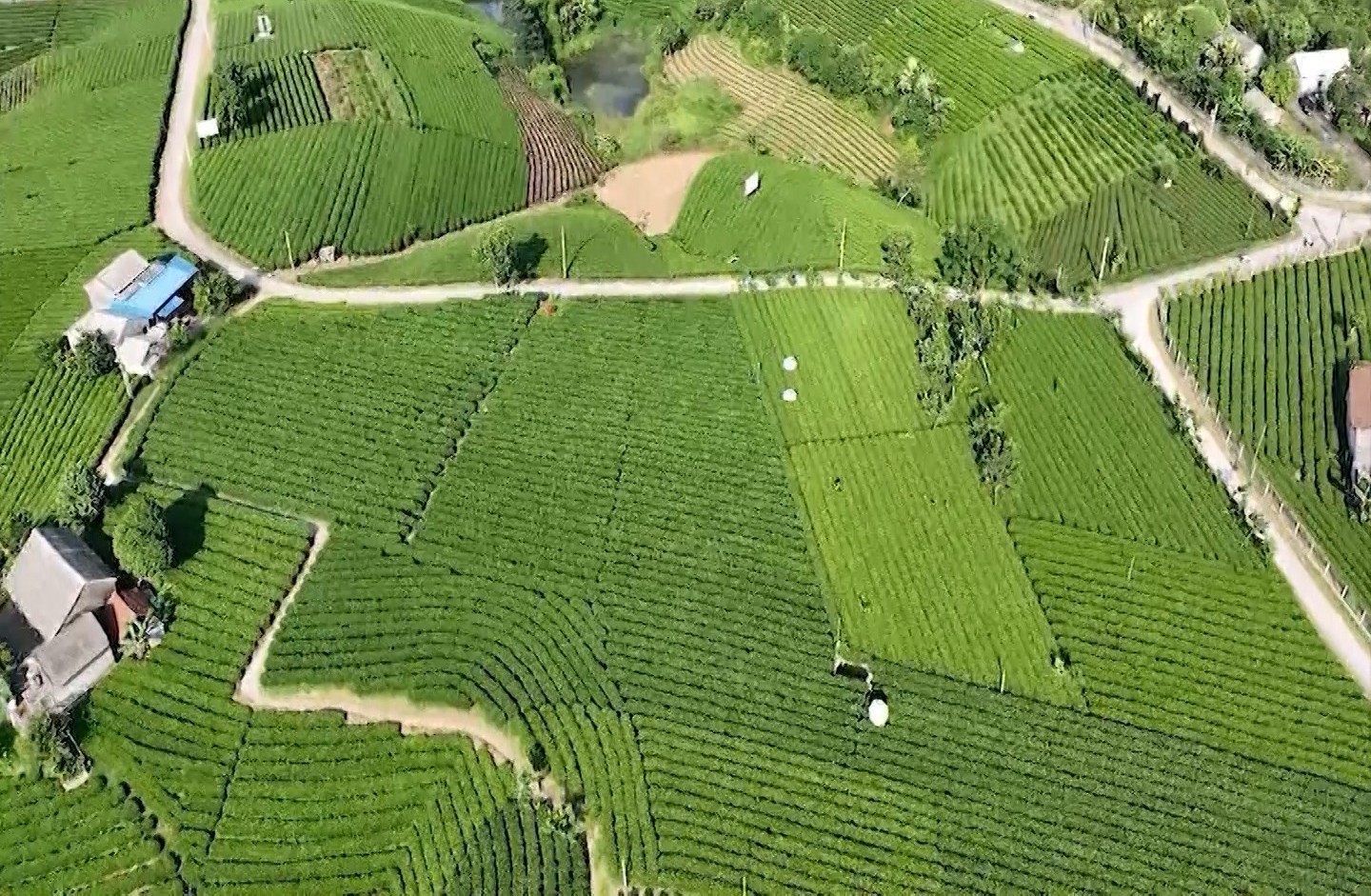 Huyện Đại Từ, Thái Nguyên: Vị thế mới của huyện nông thôn mới nâng cao Huyện Đại Từ, Thái Nguyên: Vị thế mới của huyện nông thôn mới nâng cao