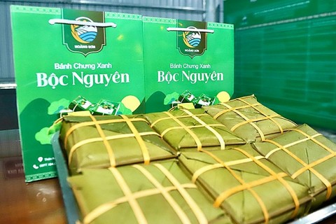 ha tinh banh chung xanh boc nguyen san pham ocop 3 sao