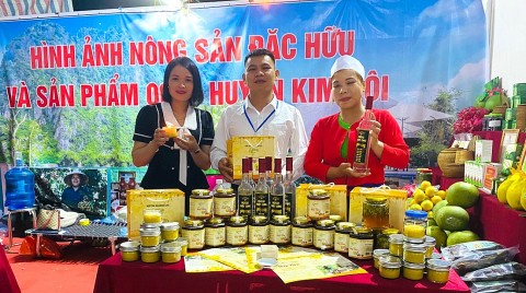 hoa binh thao go kho khan de phat trien san pham ocop