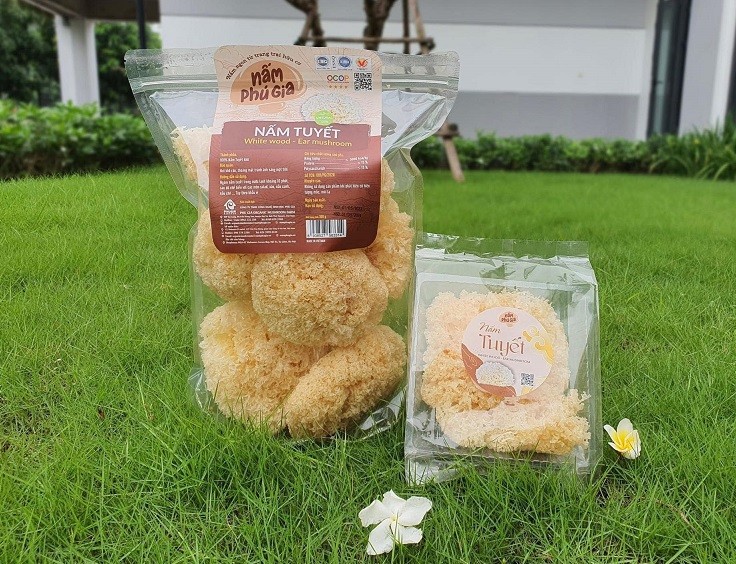 Đại Từ: Chú trọng phát triển sản phẩm OCOP gắn với xây dựng nông thôn mới Đại Từ: Chú trọng phát triển sản phẩm OCOP gắn với xây dựng nông thôn mới