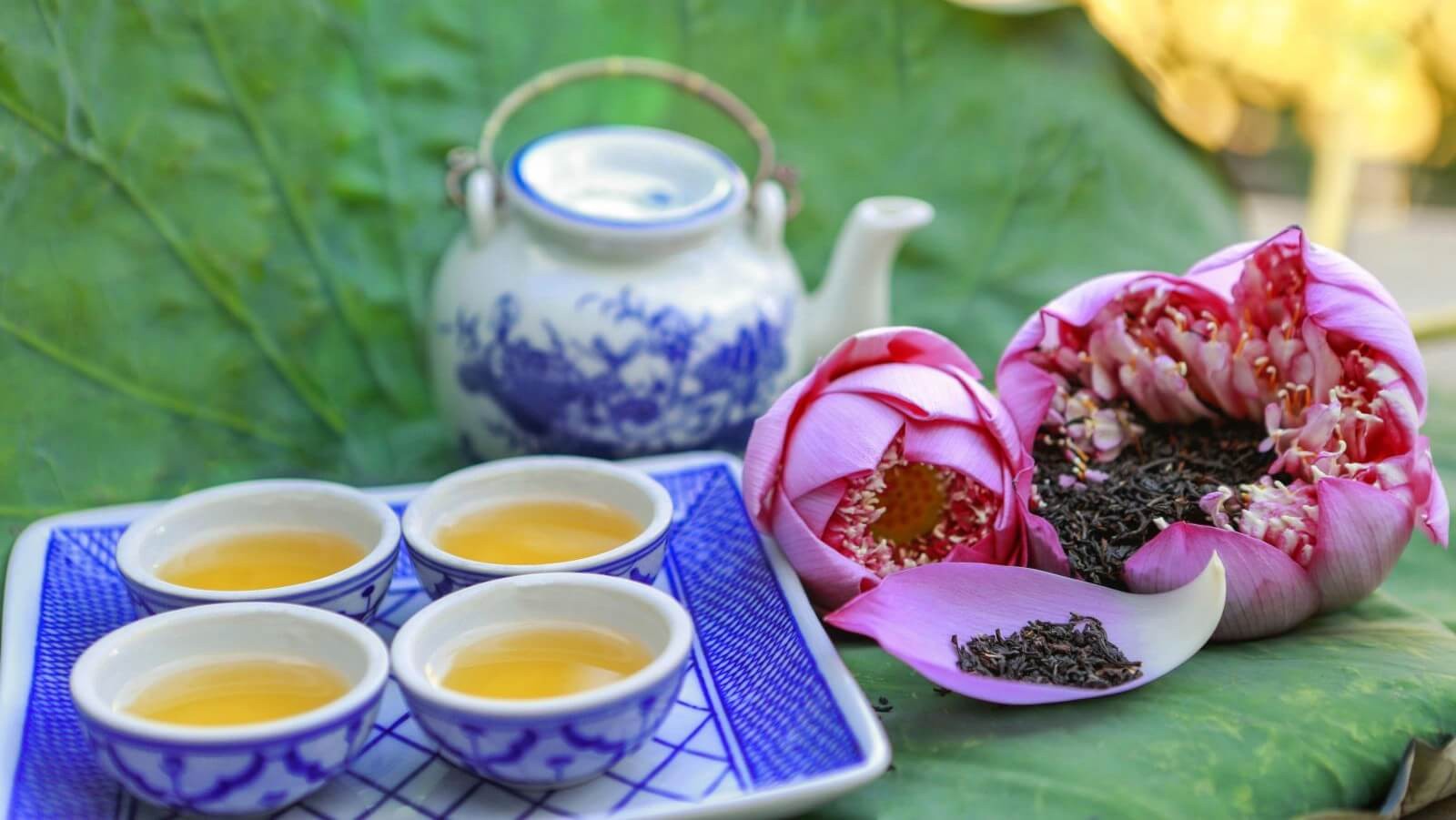 Bên Hồ Tây nói chuyện trà sen