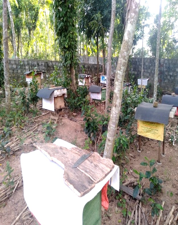 Mô hình nuôi ong của gia đình ông Nguyễn Văn Tiến, Tổ trưởng Tổ Hợp tác sản xuất Mật ong xã Nghĩa Đồng.