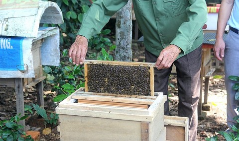 Phát triển nghề nuôi ong ở Nghĩa Đồng