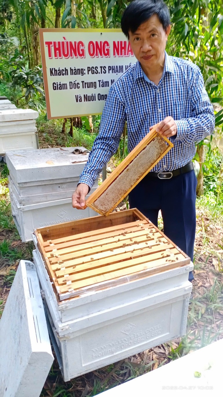 Phó Giáo sư, Tiến sĩ Phạm Hồng Thái, Giám đốc Trung tâm Nghiên cứu Ong và Nuôi ong Nhiệt đới (Học viện Nông nghiệp Việt Nam) tập huấn kỹ thuật nuôi ong cho người nông dân ở nhiều tỉnh, thành phố. Phó Giáo sư, Tiến sĩ Phạm Hồng Thái, Giám đốc Trung tâm Nghiên cứu Ong và Nuôi ong Nhiệt đới (Học viện Nông nghiệp Việt Nam) tập huấn kỹ thuật nuôi ong cho người nông dân ở nhiều tỉnh, thành phố.