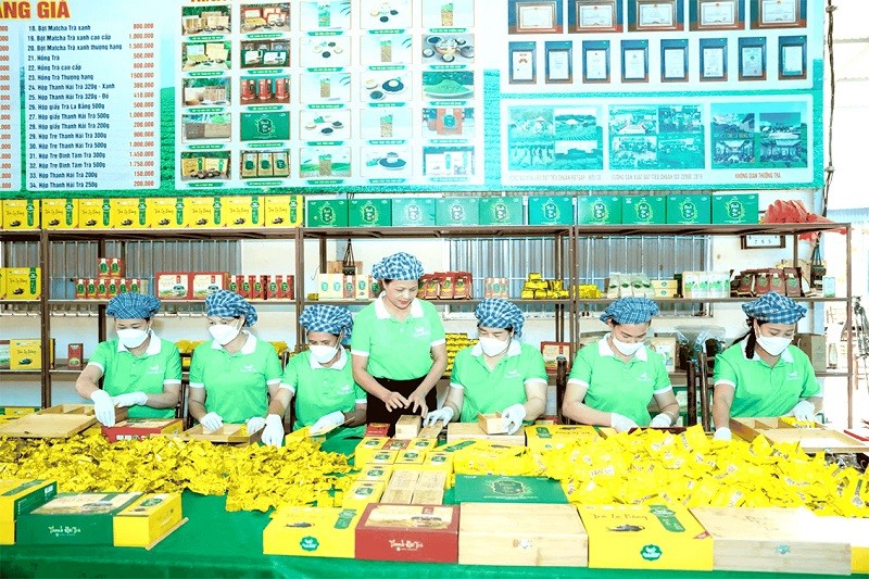 HTX Chè La Bằng đóng gói sản phẩm với mô hình sản xuất chuyên nghiệp. HTX Chè La Bằng đóng gói sản phẩm với mô hình sản xuất chuyên nghiệp.
