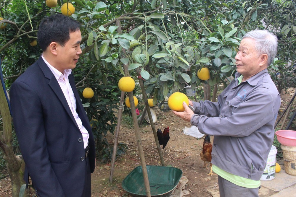 Huyện Đại Từ (Thái Nguyên): Hiệu quả kinh tế mô hình nông nghiệp gắn với xây dựng nông thôn mới