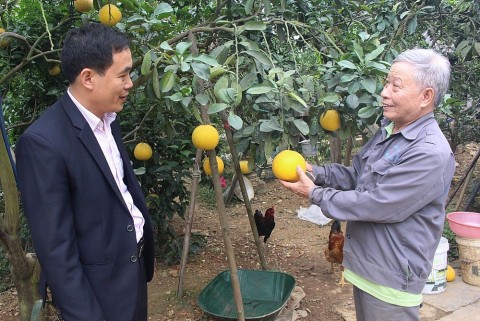 Huyện Đại Từ (Thái Nguyên): Hiệu quả kinh tế mô hình nông nghiệp gắn với xây dựng nông thôn mới