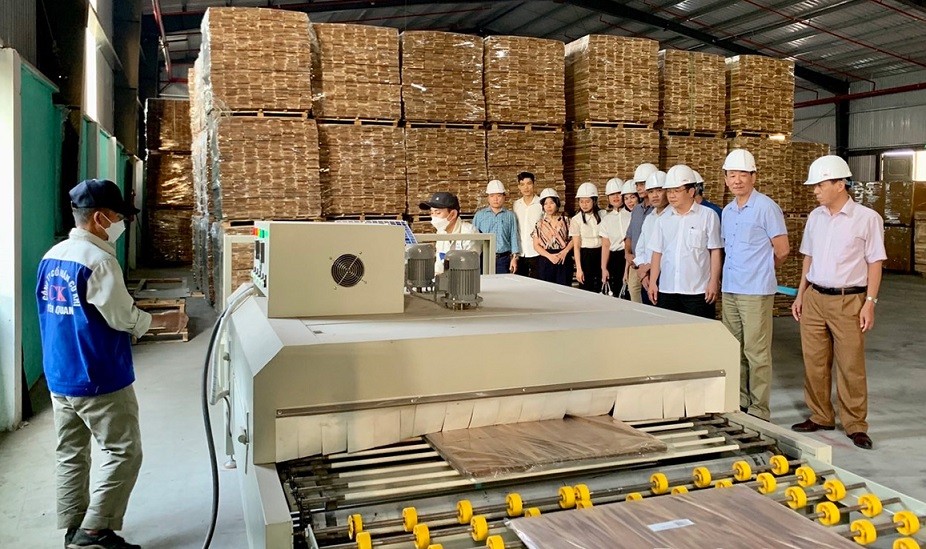 Tuyên Quang: Tạo đà công nghiệp nông thôn phát triển