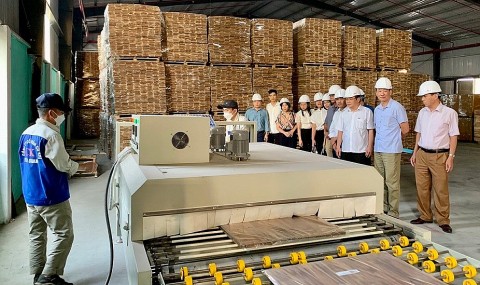 Tuyên Quang: Tạo đà công nghiệp nông thôn phát triển