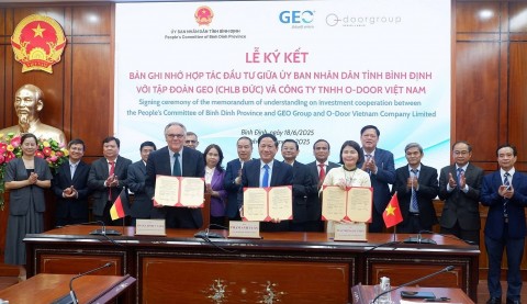 binh dinh thu hut dai du an nuoc ngoai tao dong luc phat trien xanh ben vung