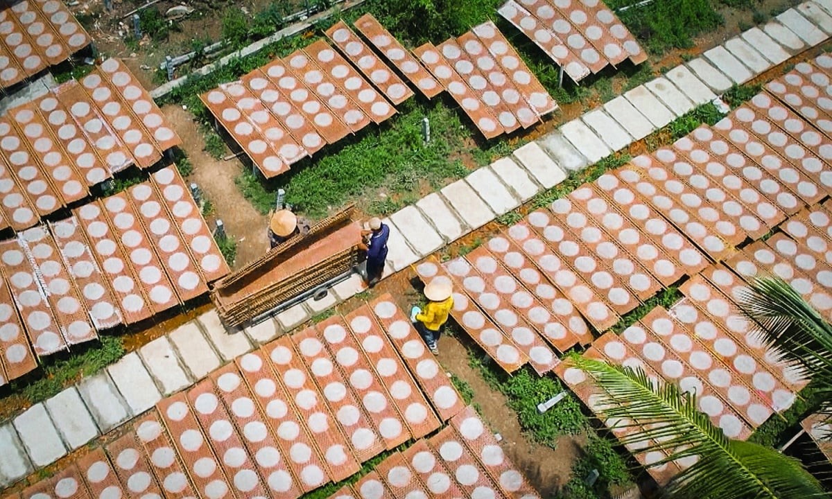 Giữ lửa nghề bánh tráng Thuận Hưng Giữ lửa nghề bánh tráng Thuận Hưng