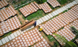 Giữ lửa nghề bánh tráng Thuận Hưng