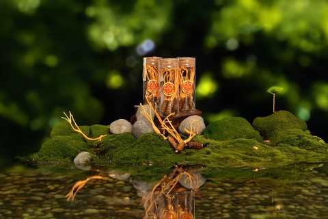 dalat newfarm tu tam huyet phuc vu nguoi viet den khat vong vuon tam the gioi